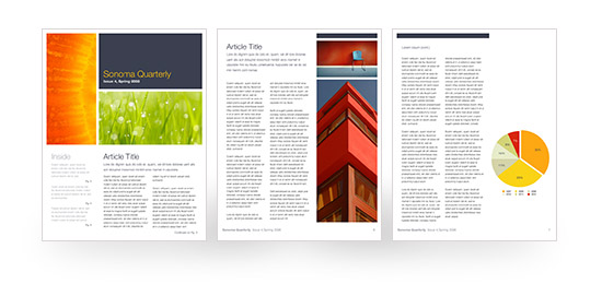 newsletter templates for word. The Newsletter Template