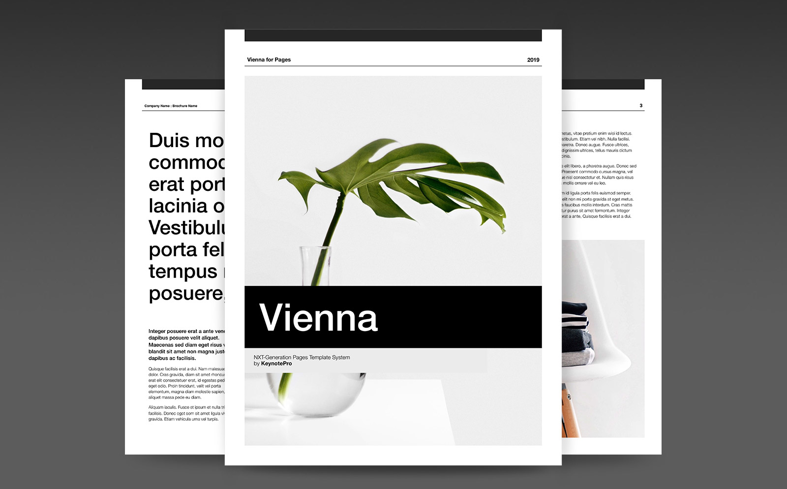 Vienna (NXT) Template System for Pages