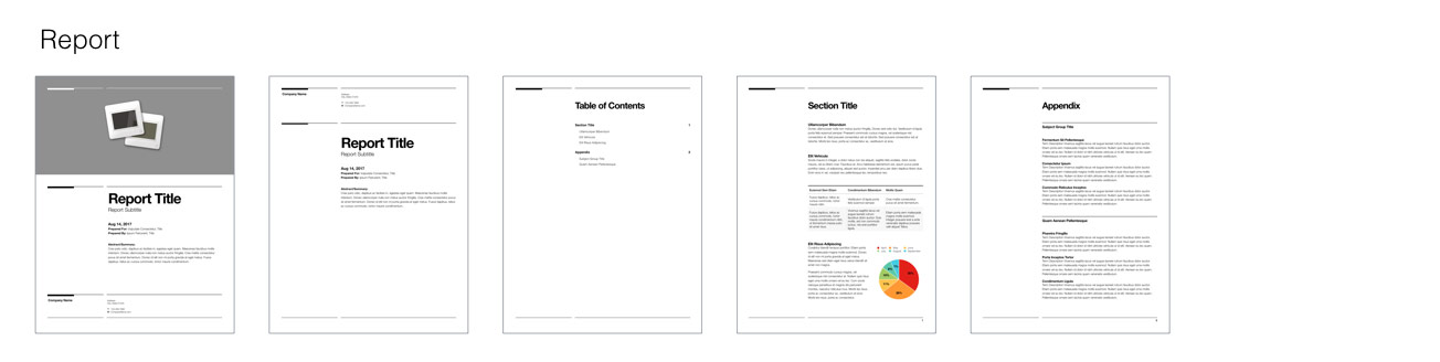 Geneva for Pages - Business Report
